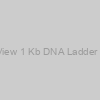 Azura PureView 1 Kb DNA Ladder - 500 Lanes